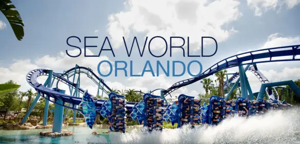 Sea World Orlando – Lohnt es sich? Der lebegeil Erlebnistest 12