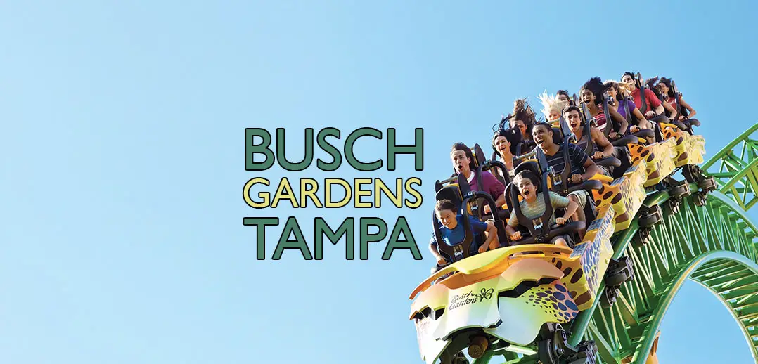 Busch Gardens Tampa Florida Lohnt Es Sich Der Lebegeil
