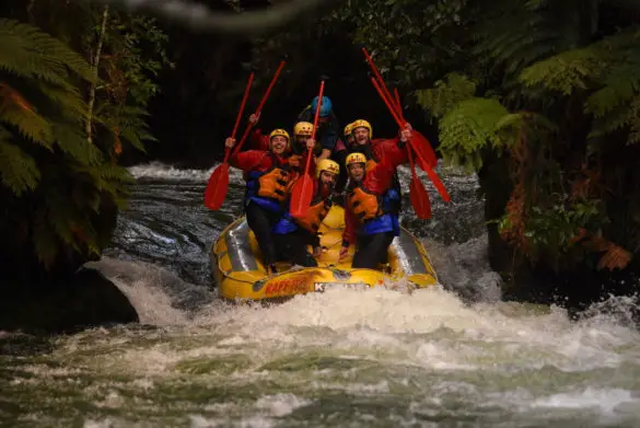 Die 6 besten Outdoor-Aktivitäten in Rotorua | Rafting, Luge & Co 6