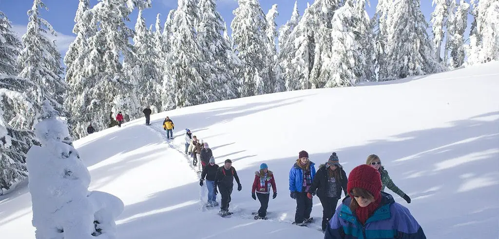 Skigebiet Schwarzwald Unternehmungen im Winter