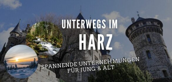 Die besten Aktivitäten im Harz – 20 geniale Ausflugsziele für [year] 3