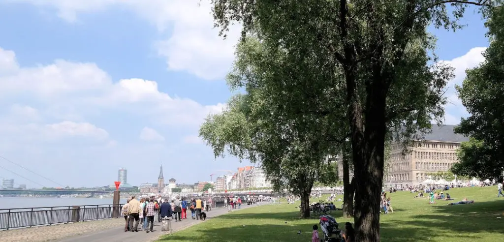 Die Rheinpromenade lädt zu einem Spaziergang in deiner Freizeit ein.