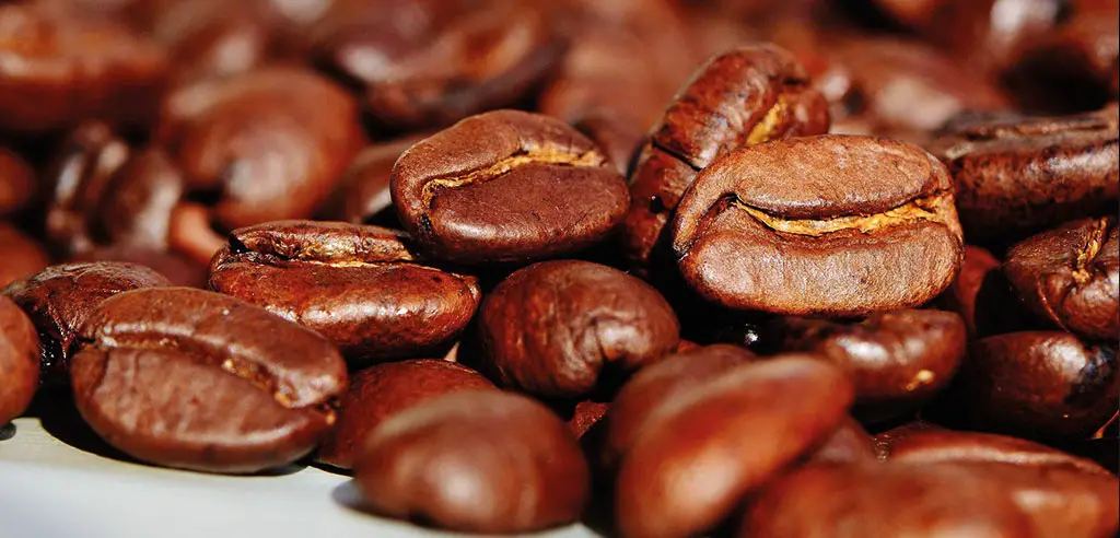 Kaffee und Schokolade funktioniert bei einem Kaffee- und Schokoladen-Workshop als virtuelles Online-Tasting.