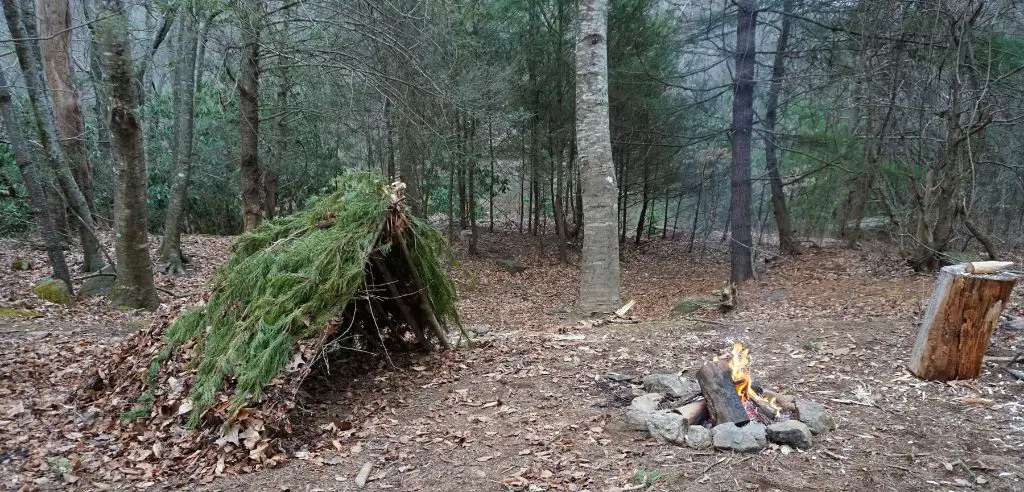einfache Unterkunft im Wald mit Feuerstelle